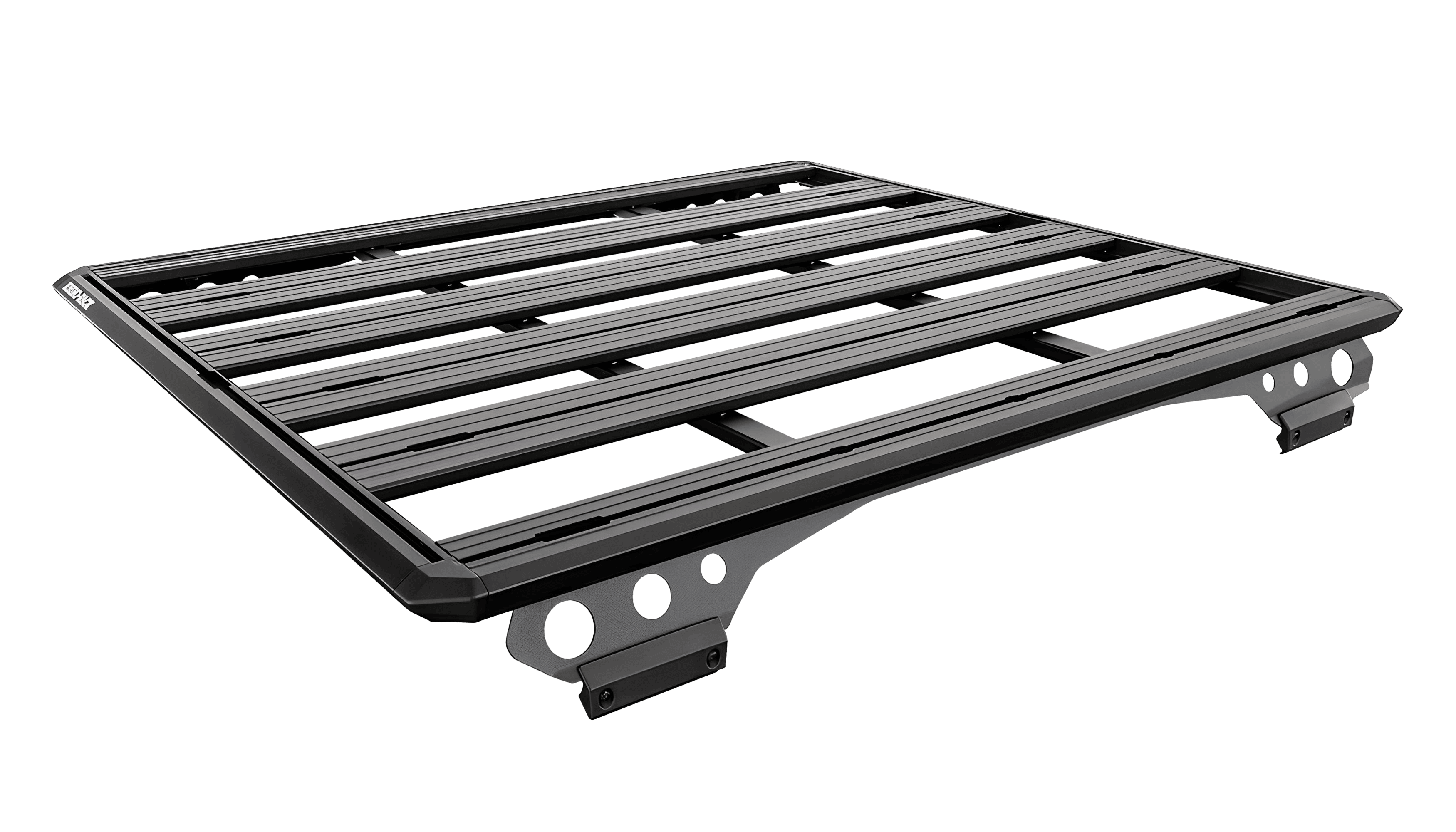 rols1の透過画像